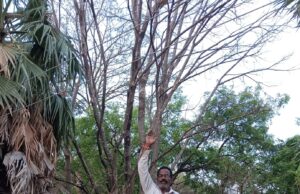 రైతుల ప్రాణాలకు ముప్పుగా విద్యుత్ తీగలు.. స్పందించని అధికారులు