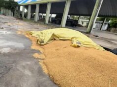 అకాల వర్షానికి మునిగిన మానకొండూర్ మార్కెట్… రైతుల శ్రమ వృథా