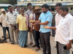 మార్కెట్ యార్డులో ధాన్యం కొనుగోళ్లు సజావుగా కొనసాగుతున్నాయి