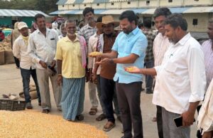 మార్కెట్ యార్డులో ధాన్యం కొనుగోళ్లు సజావుగా కొనసాగుతున్నాయి